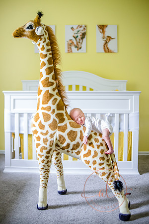 IMG_8701-Edit