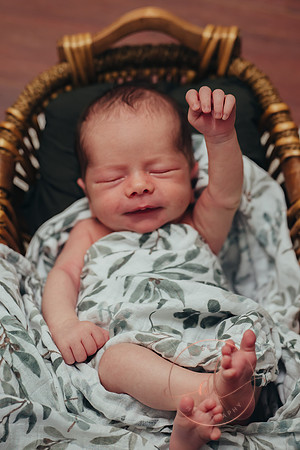 20240804-IMG_6611-Edit-Edit